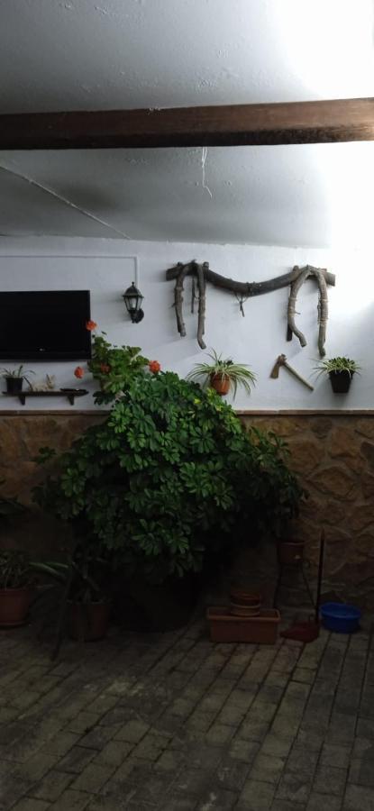 Casa Cueva El Almendro Pensionat Pegalajar Eksteriør billede