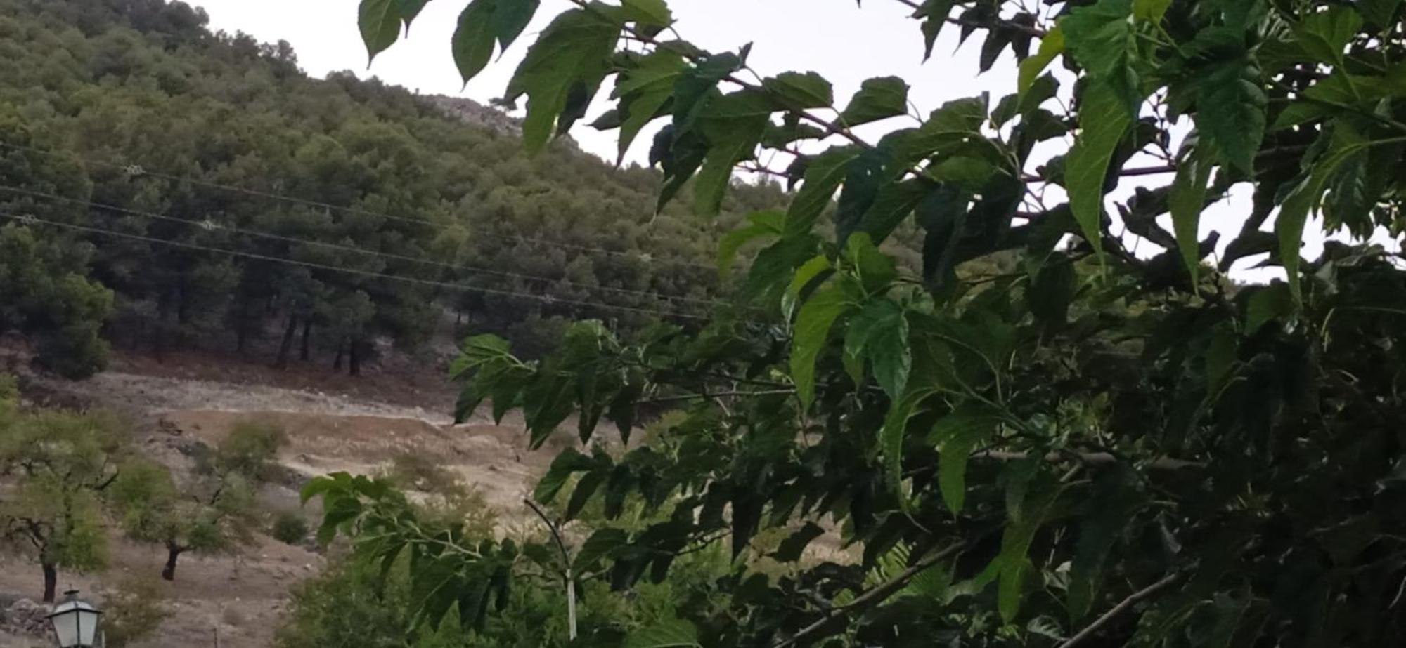 Casa Cueva El Almendro Pensionat Pegalajar Eksteriør billede